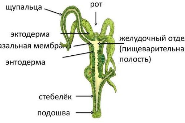 Omg магазин tor