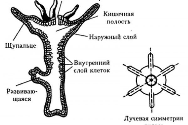 Омг сайт магазин